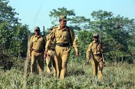 MP Forest Guard Vacancy